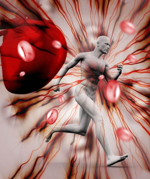 A graphic illustrating the effects of stress on different systems of the body, such as the cardiovascular, immune, and nervous systems.