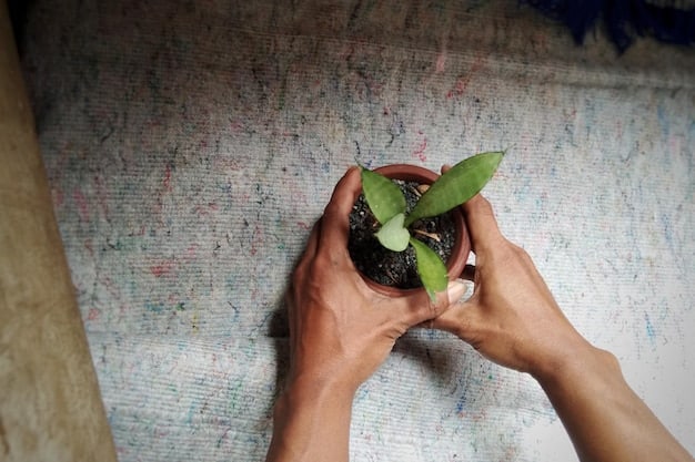 A close-up shot of a volunteer's hands gently holding and caring for a fragile seedling in a community garden, symbolizing growth, nurture, and dedication.
