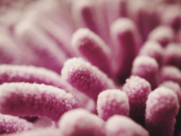 A close-up shot illustrating the diversity of gut bacteria under a microscope, highlighting the balance needed for optimal health.