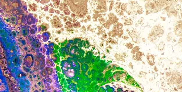 A microscopic view of various immune cells, such as T cells and B cells, interacting with pathogens like viruses or bacteria. The cells are brightly colored and dynamically engaged, highlighting the complexity and activity within the immune system.