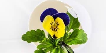 Boost Nutrients: Discover 3 Underrated Leafy Greens Beyond Kale This Year - Cover Image