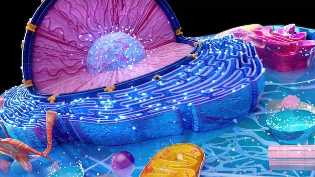 Gut Health Revolution 2025: Probiotics & Prebiotics Unveiled