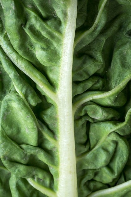 A close-up, vibrant shot of fresh, crisp kale leaves, vivid green and slightly textured, with water droplets visible on their surface from a recent rinse. The focus is sharp on the leaves, suggesting freshness and health.