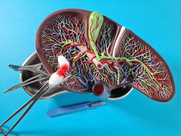A detailed, scientific illustration of the human liver and kidneys, with subtle glowing or active lines indicating their processing and filtering functions, emphasizing their natural detoxification role.