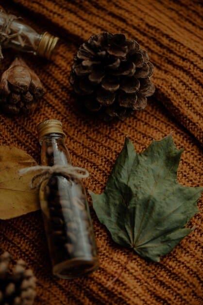 Fall Fragrance Guide: Your Signature Scent Awaits This Season