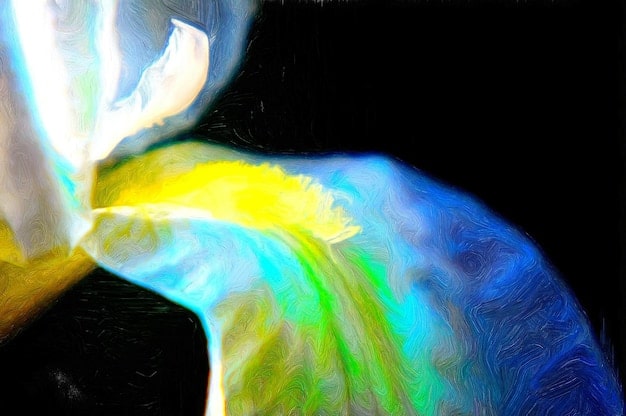 A vibrant, abstract digital art piece with flowing iridescent fabrics and bioluminescent elements, hinting at a futuristic or ethereal fashion theme.
