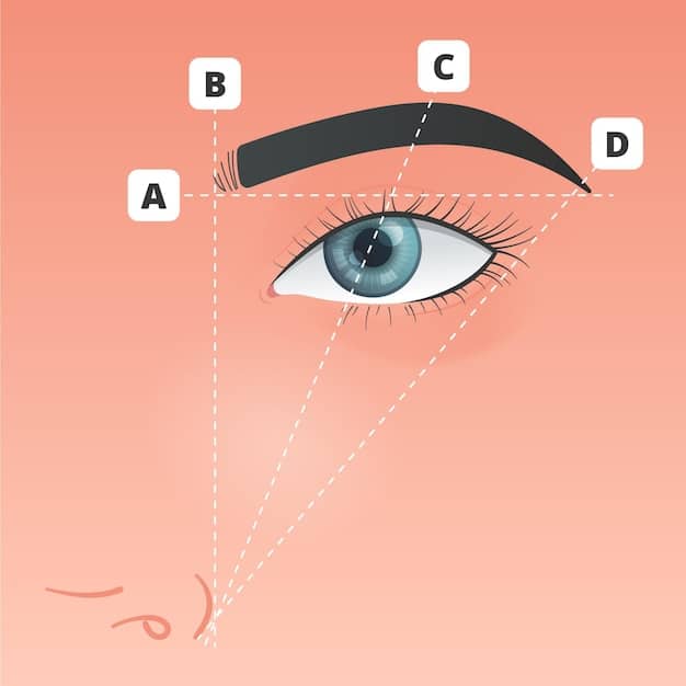 A diagram illustrating different eyebrow shapes - arched, straight, rounded, and s-shaped - with arrows indicating the key points to consider when identifying the natural brow shape. The diagram also shows the ideal starting point, arch, and end point of an eyebrow. A measuring tool is placed near them to make sure the point where the eyebrows should begin is correct.
