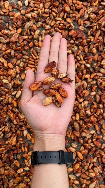 A close-up shot of a person's hand selecting a handful of mixed nuts and seeds from a bowl, with a blurred background of various other healthy snacking options. The focus is on the texture and variety of the nuts and seeds, emphasizing their role as a source of healthy fats and nutrients in The Truth About snacks.