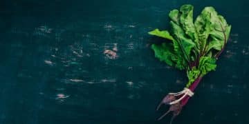 Beyond Kale: 5 Underrated Greens Packed with Nutrients You Need Now - Cover Image