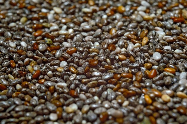 A close-up macro shot of chia seeds, flax seeds, and hemp seeds, highlighting their texture and nutritional density as excellent sources of plant-based protein and healthy fats. The image is brightly lit to emphasize the natural colors and details of the seeds, reinforcing their role in Plant-Based Protein Power: 5 Delicious Ways to Meet Your Daily Needs.
