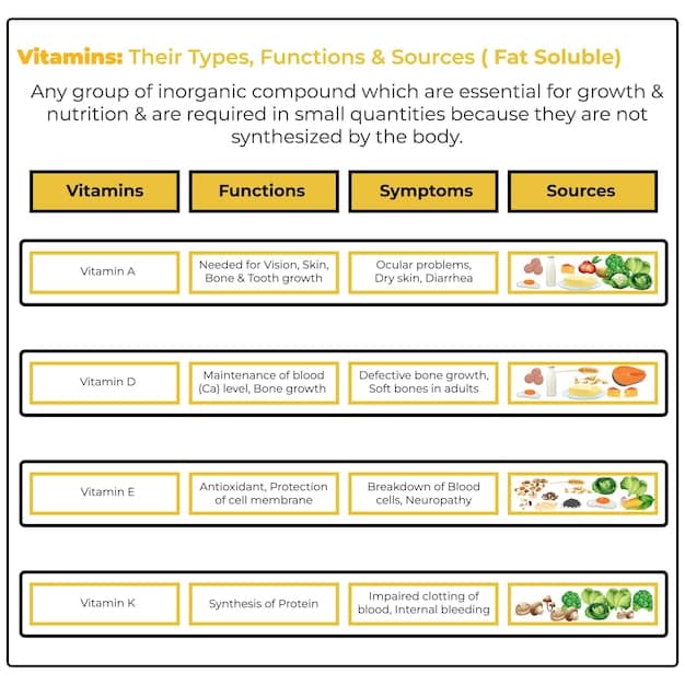 An infographic breaking down a sample Nutrition Facts panel, with callouts explaining each section, including serving size, calories, macronutrients, % Daily Value, and the list of vitamins and minerals. The text 
