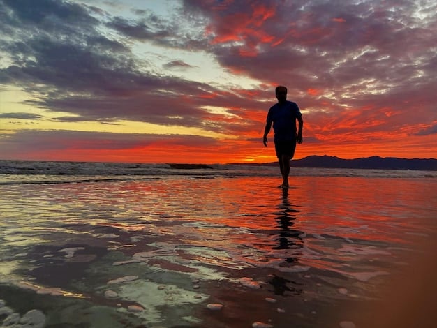 A person running along a beach at sunset, with the ocean waves in the background. The image captures the feeling of freedom and energy associated with running outdoors, highlighting its appeal as a fitness activity. Show this activity as part of the Summer Fitness Trends: 5 Outdoor Activities to Stay Active and Burn 300 Calories Per Session in 2025.