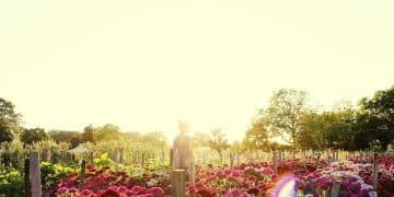 Spring Gardening: Top 5 Easy-to-Grow Flowers for a Colorful Garden - Cover Image