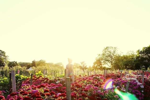 Spring Gardening: Top 5 Easy-to-Grow Flowers for a Colorful Garden