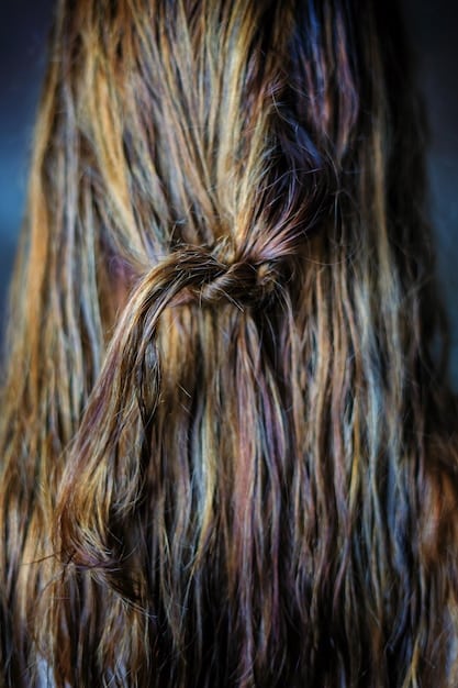A close-up shot of dry, damaged hair with split ends. The image is stark and serves to highlight the effects of sun damage and lack of hydration. It emphasizes the need for Summer Haircare: Protect Your Locks from Sun Damage with These 5 Essential Products in 2025.